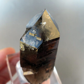 ガーデンスモーキークォーツ（モリオン）ポイント 62mm スイスアルプス