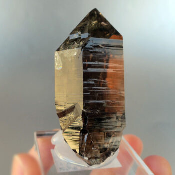 ガーデンスモーキークォーツ（モリオン）ポイント 62mm スイスアルプス