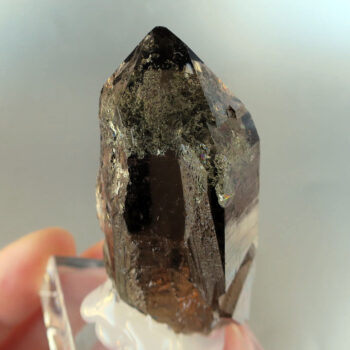 ガーデンスモーキークォーツ（モリオン）ポイント 62mm スイスアルプス