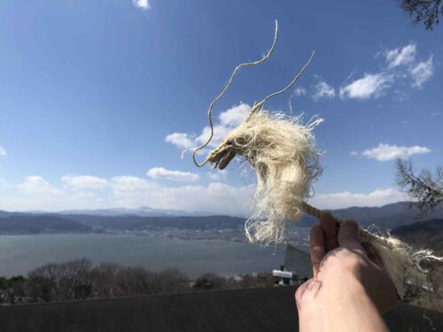 精麻 龍 ハンドメイド