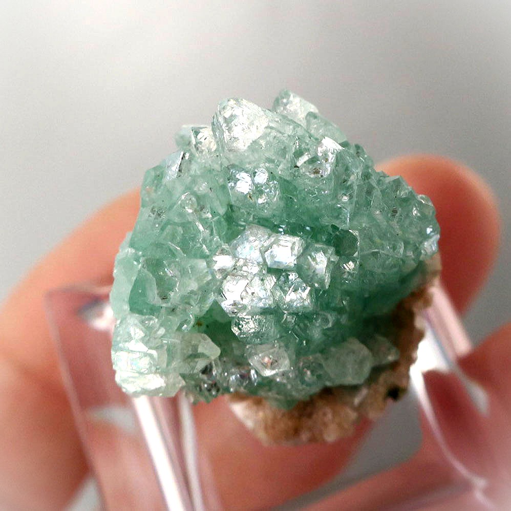 グリーンアポフィライト 結晶 クローズアップ 透明感 グリーン 天然石 鉱物 レアストーン crystal closeup