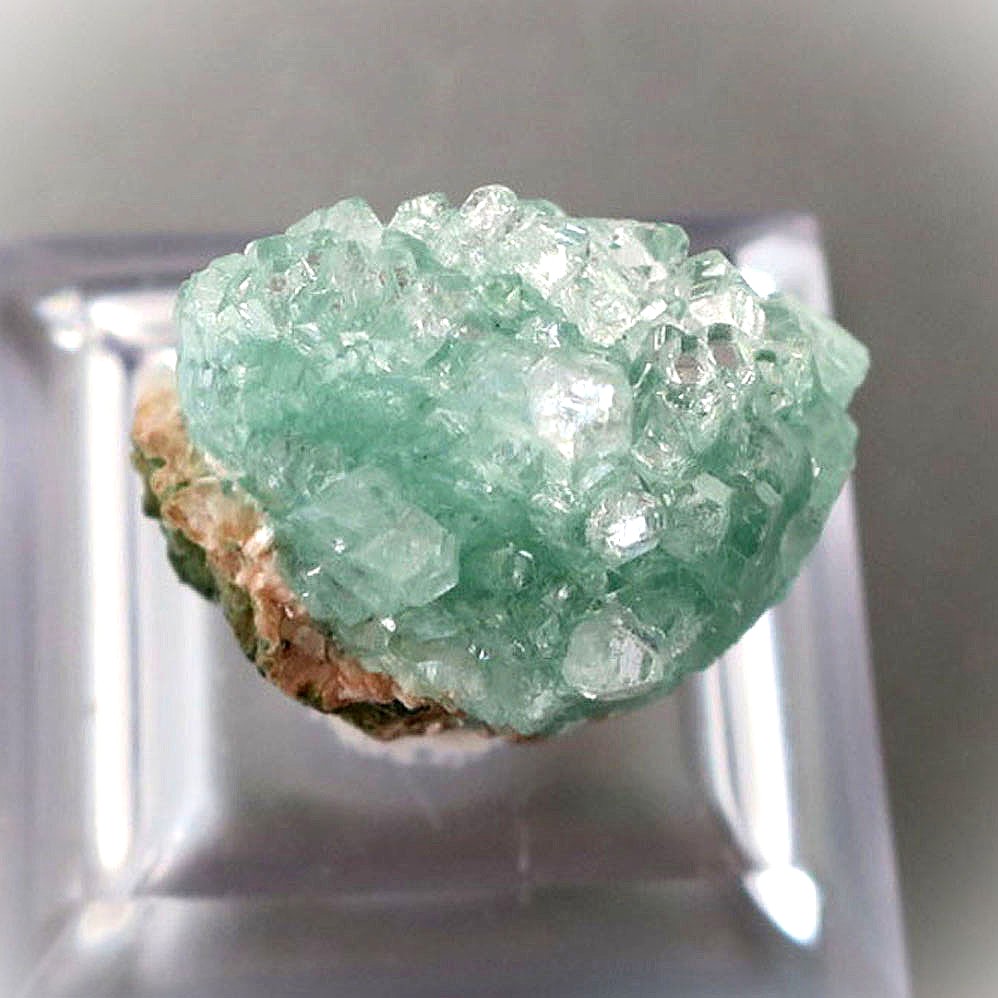 グリーンアポフィライト 上面 フラワー 結晶 天然石 コレクション 鉱物 インド産 apophyllite flower