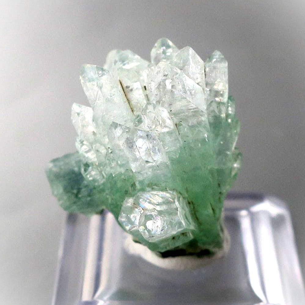 グリーンアポフィライト 自然光 発色 透明感 グリーン 天然石 原石 鉱物 コレクション apophyllite luster
