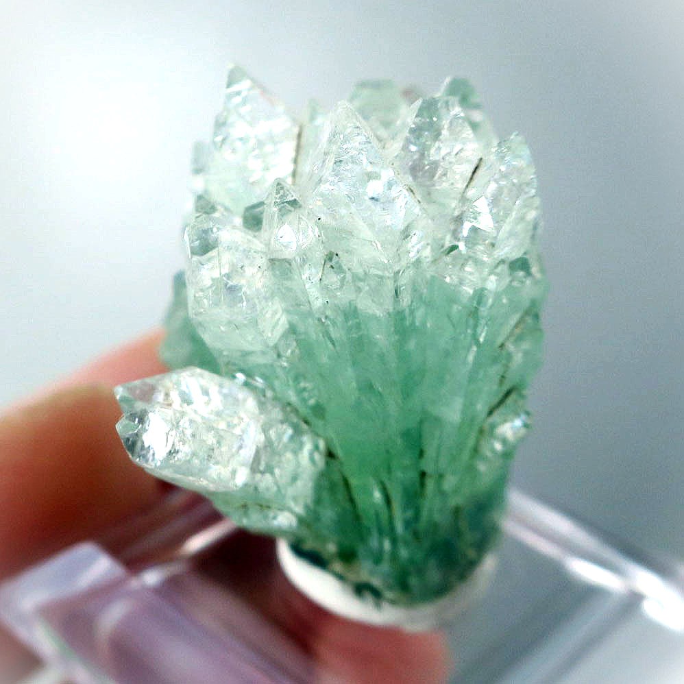 グリーンアポフィライト フラワー クラスター 天然石 原石 インド Lonauala 一点物 鉱物 apophyllite India