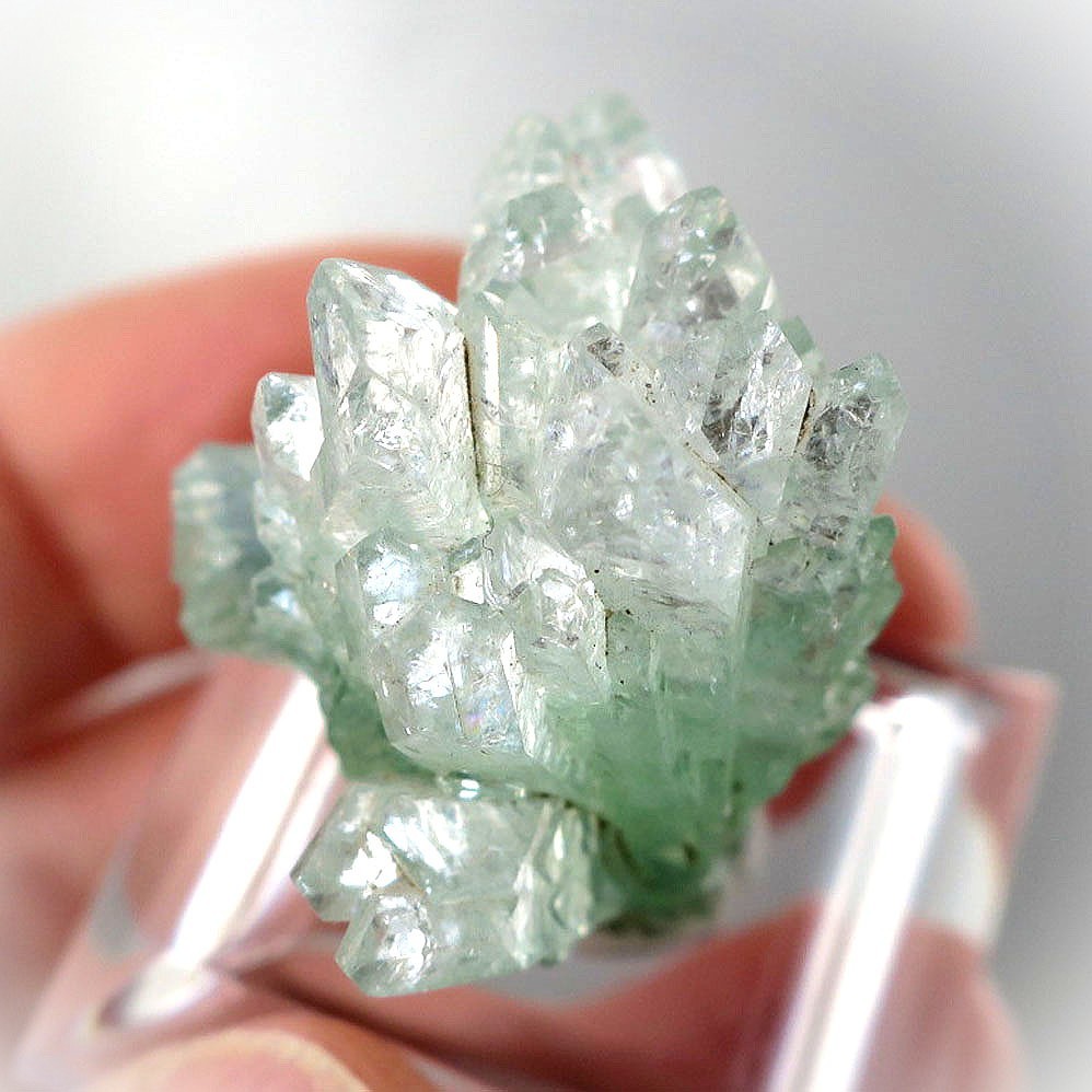 グリーンアポフィライト 上面 フラワー 俯瞰 天然石 原石 結晶 コレクション 鉱物 apophyllite flower